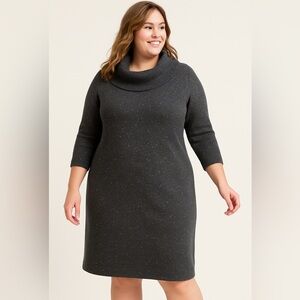 Talbots Woman Sweater Dress Gray Size X (14-16) Cowl Neck 3/4 Sleeve NEW